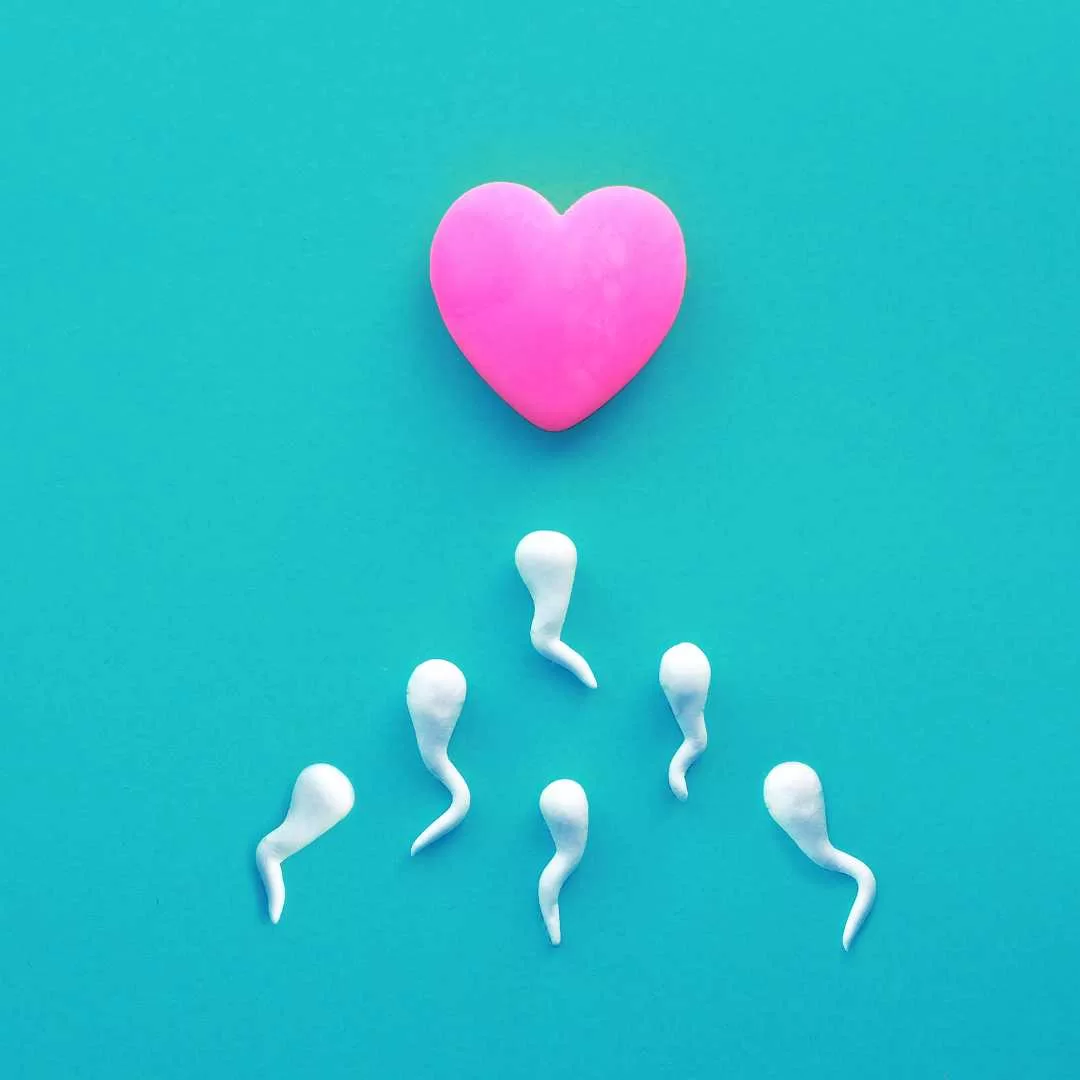esperma fertilidade masculina